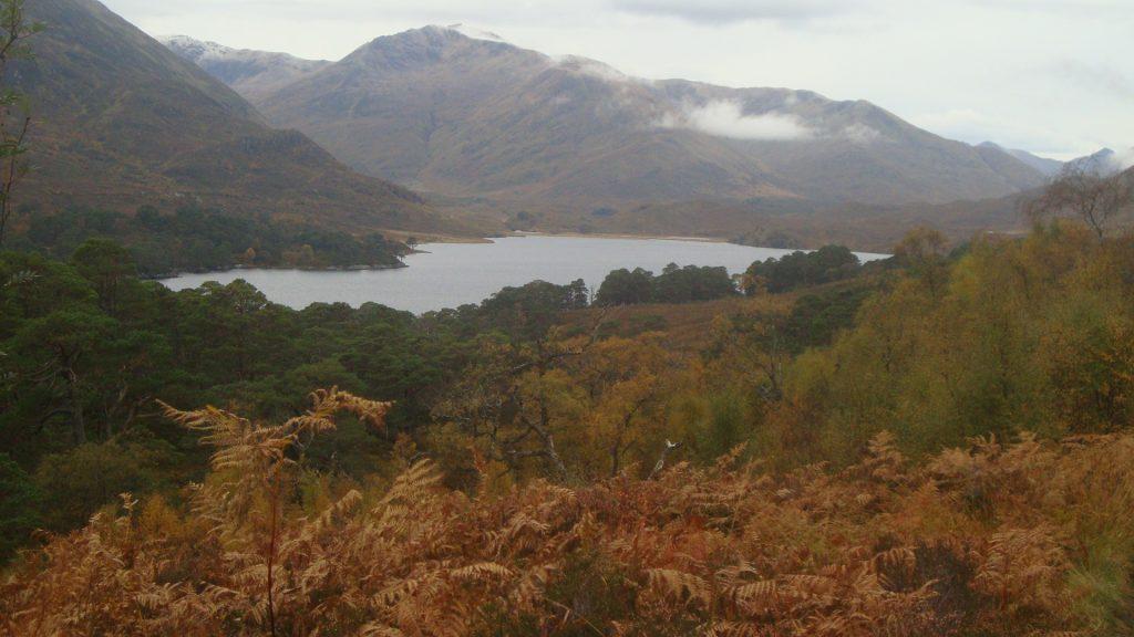 Walk Scotland Glen Affric