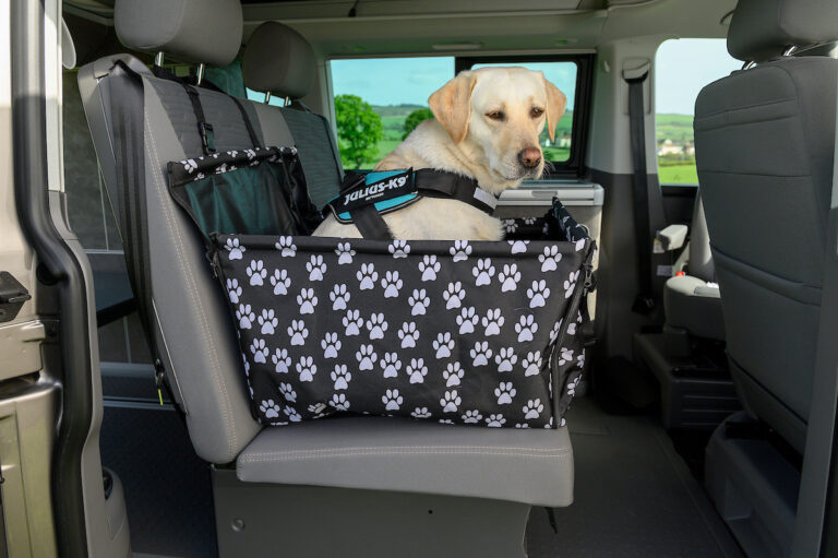 dog in campervan seat on hire with Four Seasons Campers campervan hire Scotland