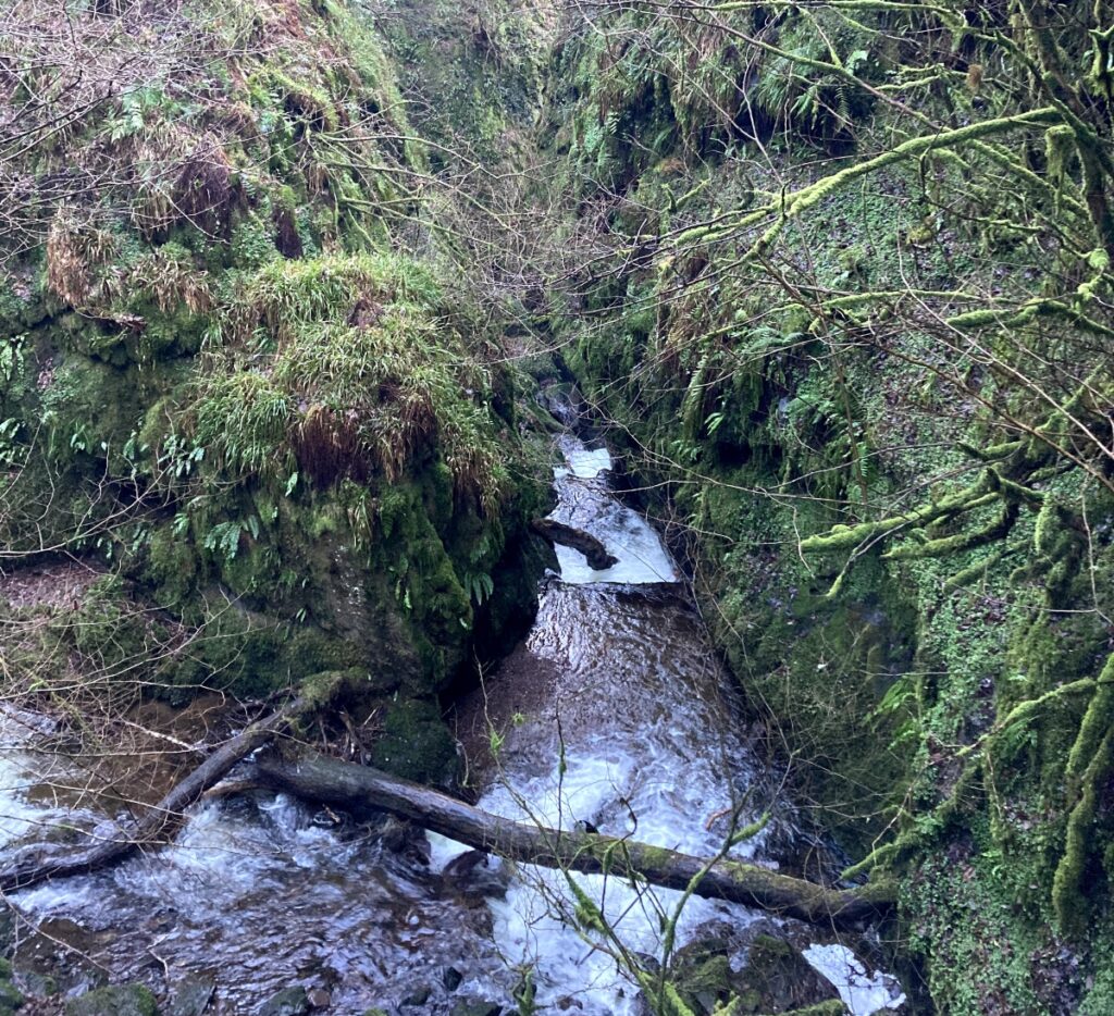 waterfalls at Dollar Glen with trees over the burn and green moss