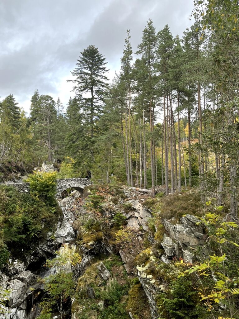 Falls of bruar