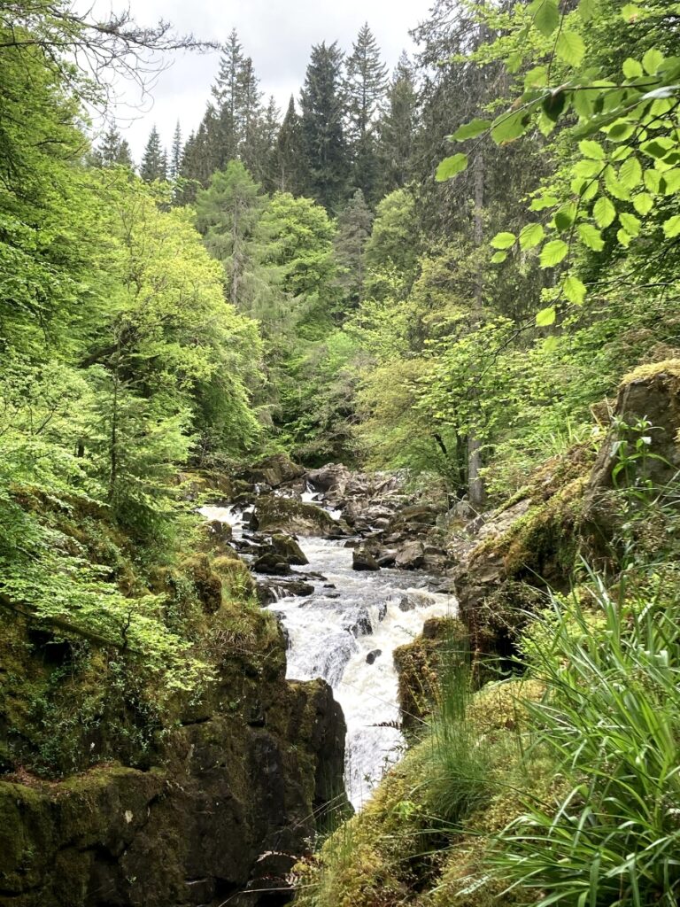 The Hermitage waterfalls Dunkeld Scotland with trees and flowing river