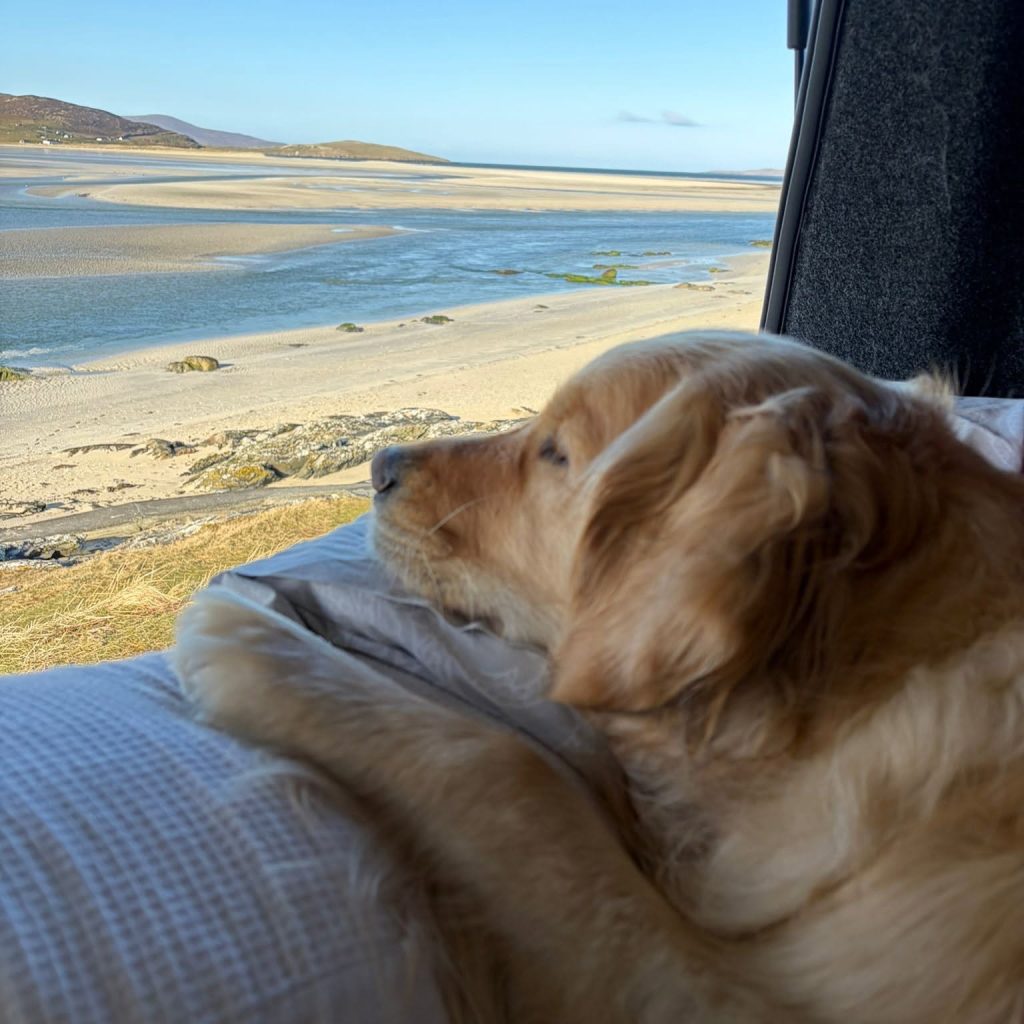 Camping Holiday with dog Scotland